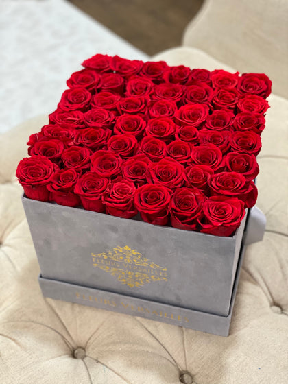 Everlasting Roses